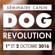 Dog revolution