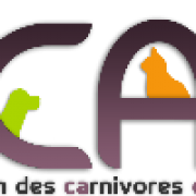 logo-i-cad.png