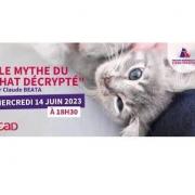 Mythe du chat