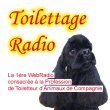 toilettage-radio.jpg