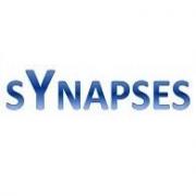 Vignette logo synapses v2 2